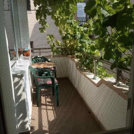 Maison d'hôtes Viki