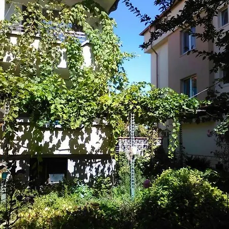 Viki Maison d'hôtes