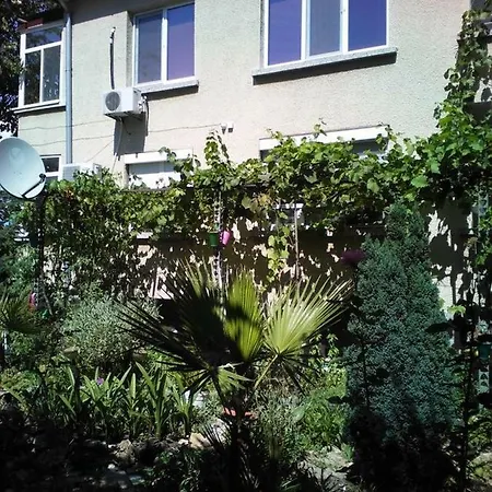 ゲストハウス Viki